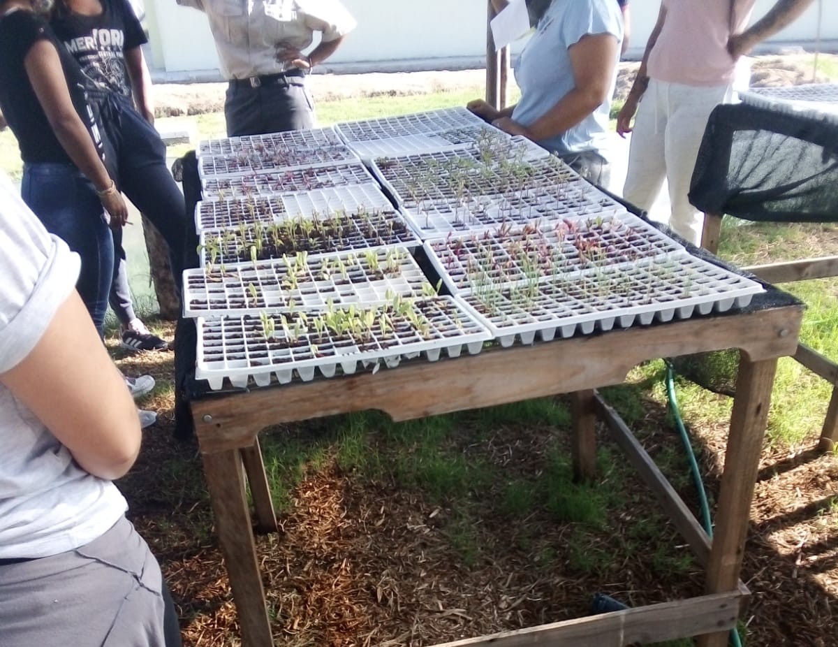 Finaliza el trabajo en
